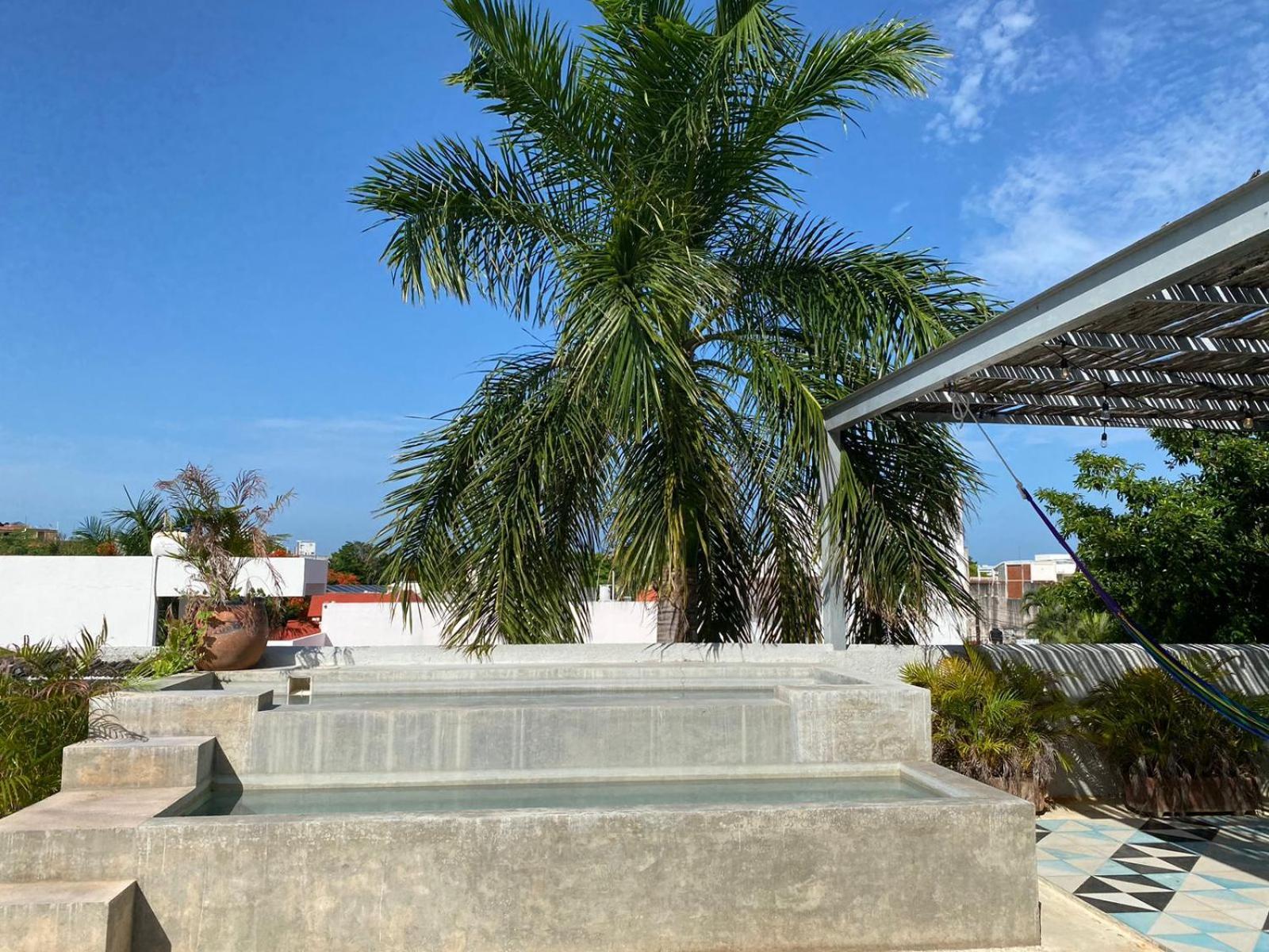 Studios Downtown Cancún Exterior foto